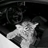 s148195