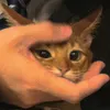 b5_m2_w5i