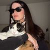 dana_miaou