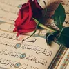 user167003186016196