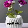 user5851155587667