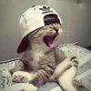 khairul.fiqri06
