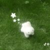xy_ndy5432