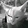 minzzbhsgadget