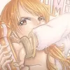 iincarry