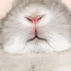 うい🐰