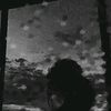 fans0436