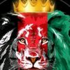 zadran123440