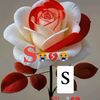 saqisaqi233