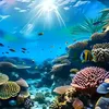 the end of the ocean