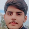 bannu_gull6