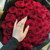 user56081588048175