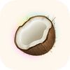 coconote.app