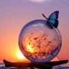 angels29260103