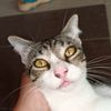 irfancoolmalaysian
