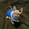 rotolity