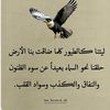 marwan.zaed