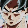 gokusolos383