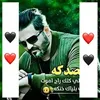 user52687261291756