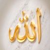 mohammadjamalfatahimjf