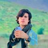safir.bahar