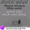 nomiyanagamana2583100