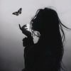 butterfly65560