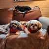 brenda.peterson56
