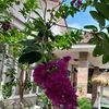 sarun.sarun270
