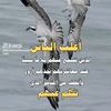 user998215386913