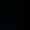 fans_hamo_ehab03