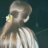 _fjiji.a