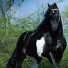 juancarlosburgos51