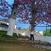 user1245873940987