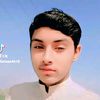 farman4618