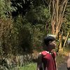 nyenye27068