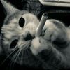 azzie..aa