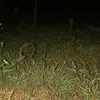.fz344