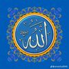 shahidimran46167
