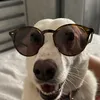 marco.viti85