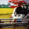 user3303161188010