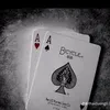 anhleee102