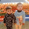 seraj.faridi