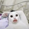 nguyenhoang_khanhngoc