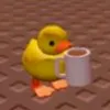 α𝗊𝗂𝗋αα-🦊