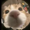 skibiditoliet04