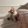 nodi_717