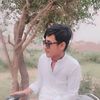 tamoor.h