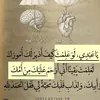 user9083048814571