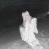 mar_marmut
